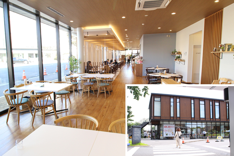 trường senmon ở Chiba